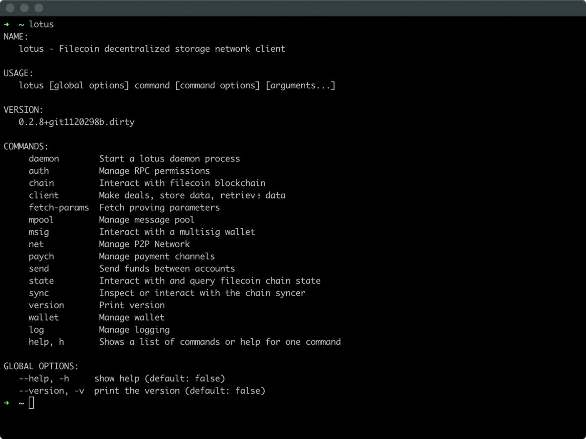 Software programming terminal displaying Filecoin developer software